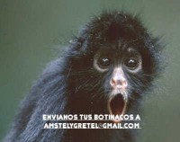 /album/botinacos-y-curiosidade/sorprendido2-phixr-jpg/